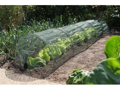 Moestuinbescherming