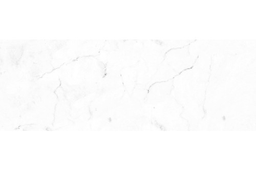 244024-14052024163709.jpg