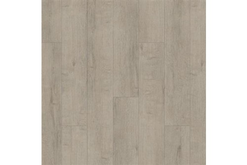 244028-10072024024336.jpg