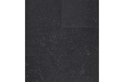 255396-06082024171752.jpg