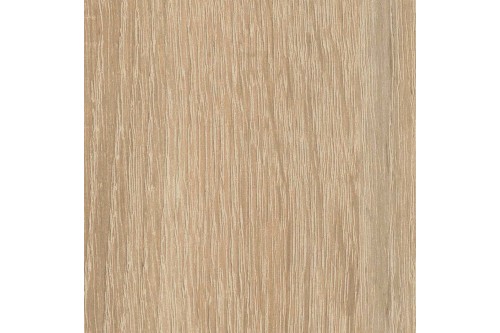 310747-03072024024120.jpg
